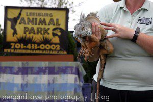 Blog, Photographer, Photography, Second Ave Photography, Virginia photographer, zoo, pet photographer