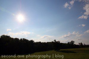 butterfly, Wine, Virginia photographer, Virginia Food Photographer, Photographer, Photography, Blog 