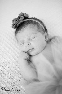 Virginia photographer, newborn, newborn photography, newborn photographer, portrait photographer, portrait photography, family photographer, family photography, 