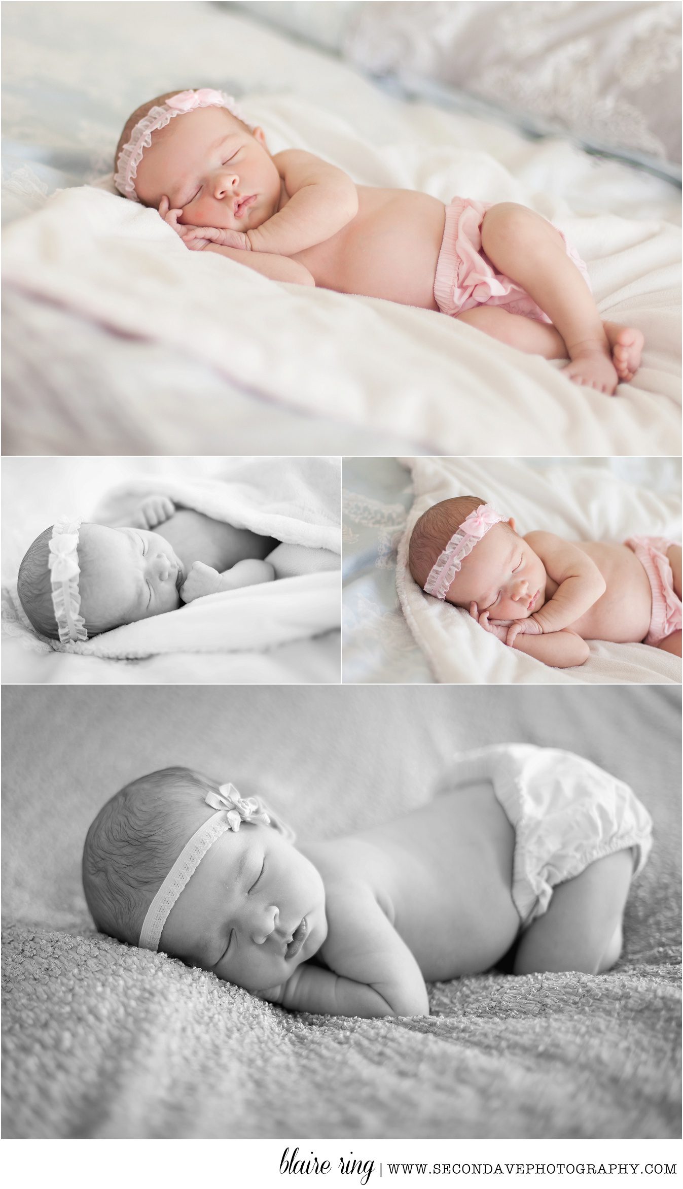 ashburn va, leesburg va, virginia photographer, newborn photographer