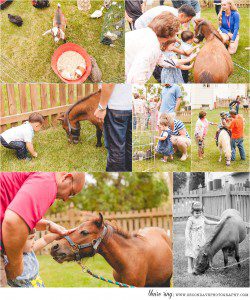 children photographer, family photographer, leesburg va, lifestyle, loudoun county, portrait photographer, va photographer, virginia photographer, event photographer, birthday party, petting zoo