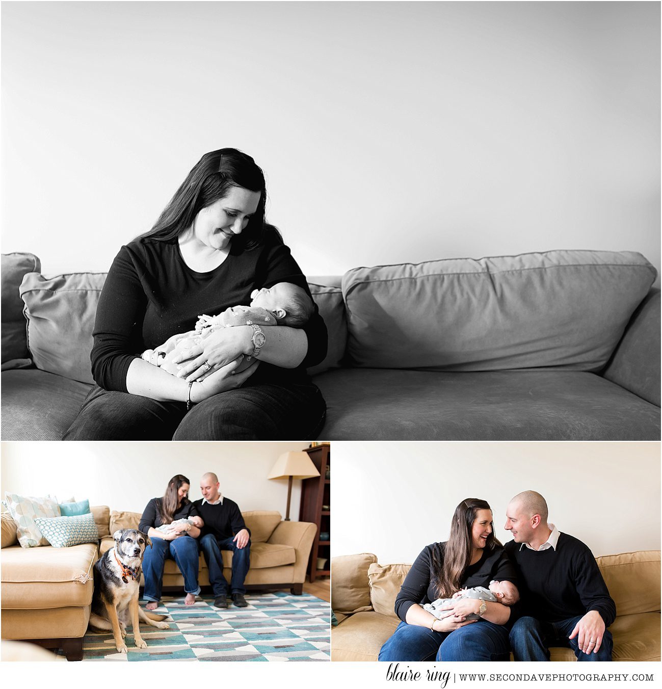 Lifestyle newborn photography in Berryville VA focusing on the bond between precious baby and overjoyed parents with four legged big brother!