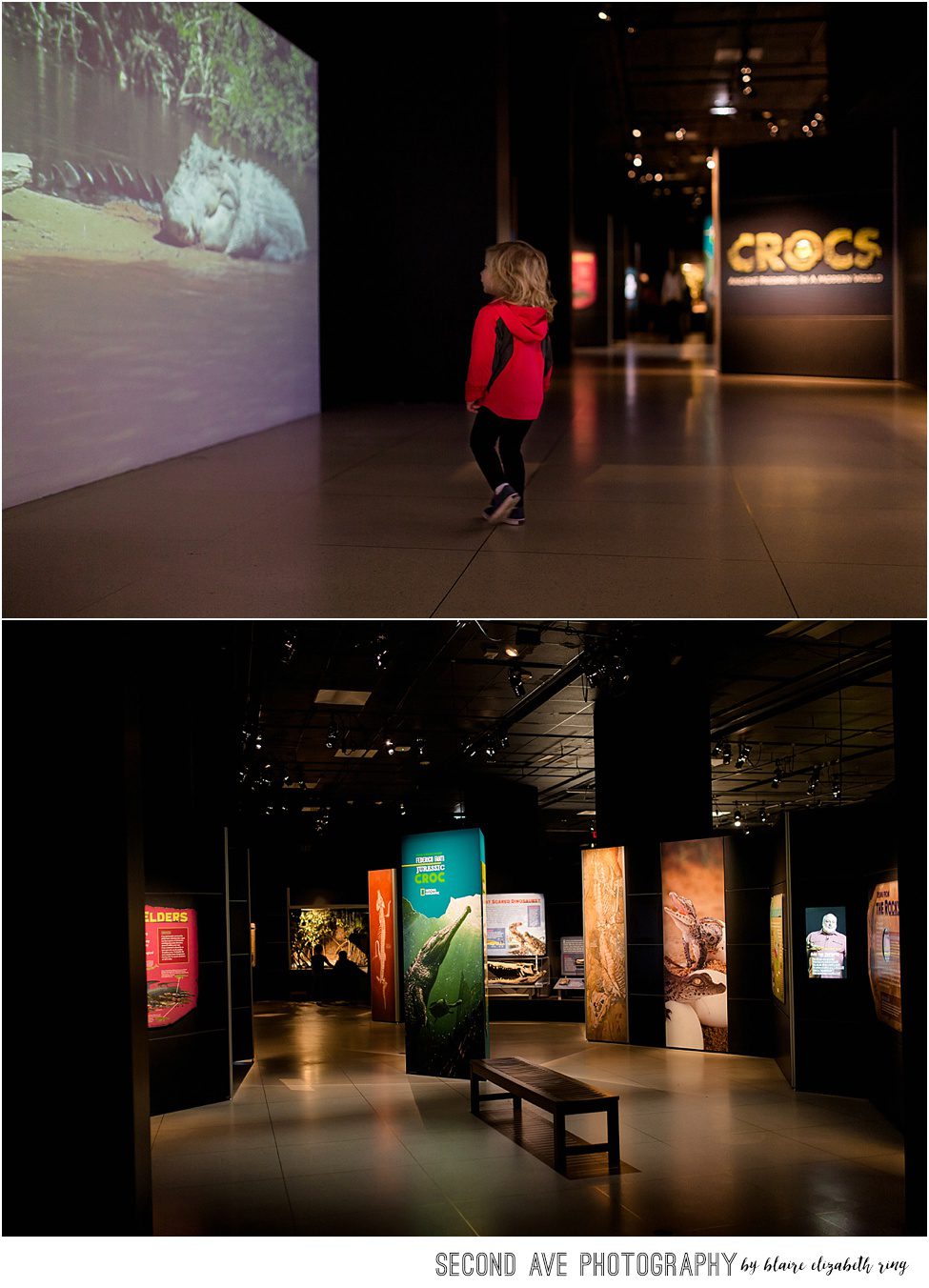 Documentary photos of the CROCS Exhibit at the National Geographic Museum in Washington, DC.