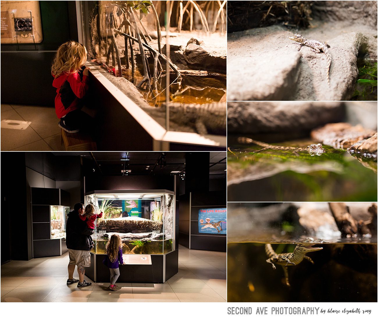 Documentary photos of the CROCS Exhibit at the National Geographic Museum in Washington, DC.
