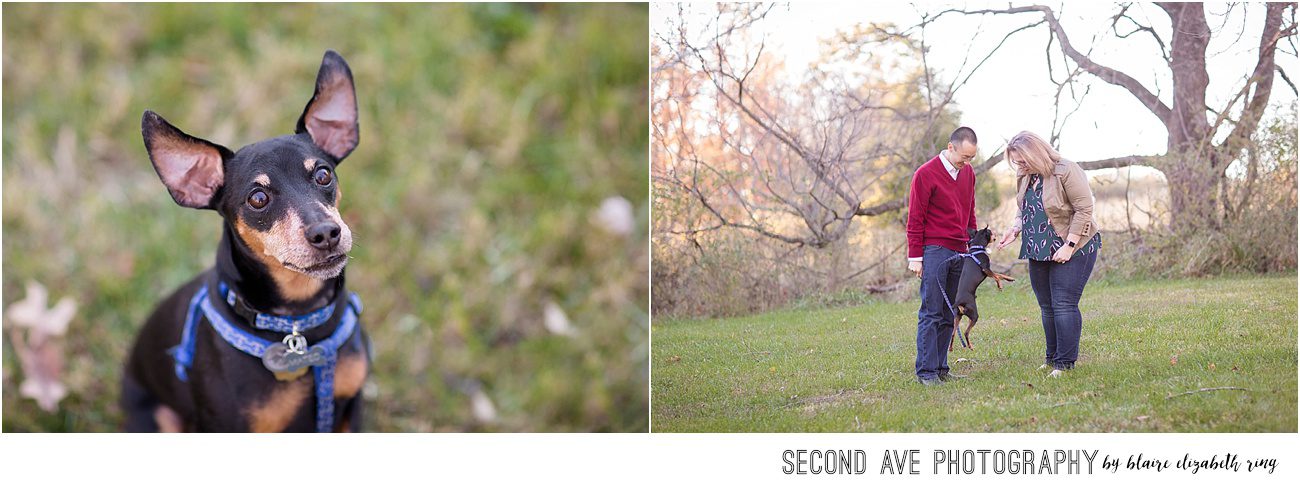 Loudoun County pet photographer photographs new parents with recently rescued pup from A Forever Home rescue in Northern Virginia.