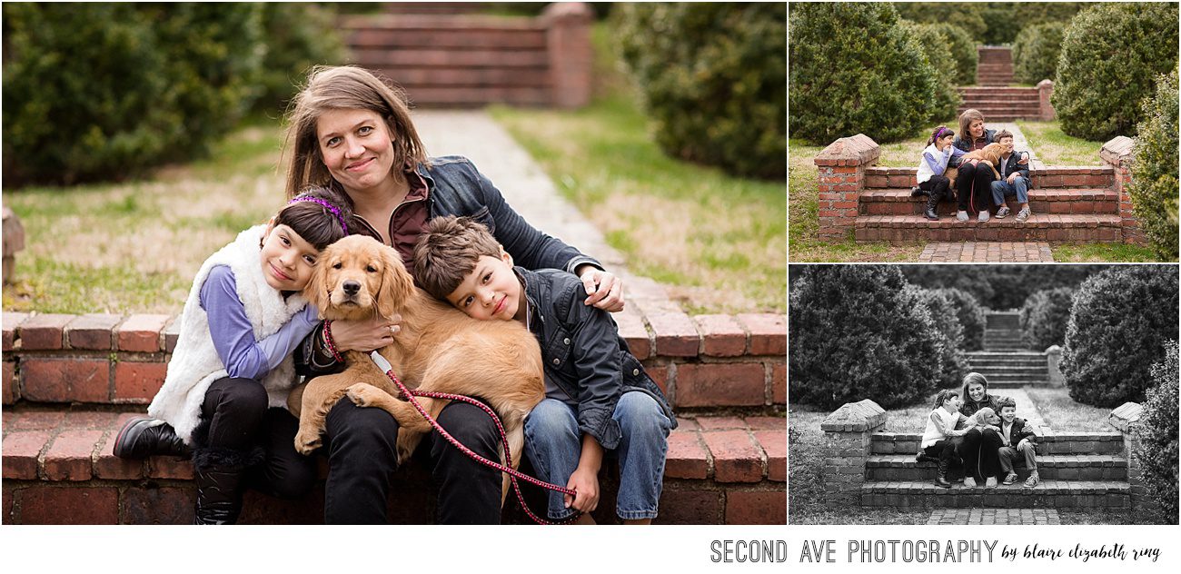 Super fun family AND adorable new puppy, even a gorgeous silhouette at the very end! I was thrilled to be their Fairfax VA family photographer.