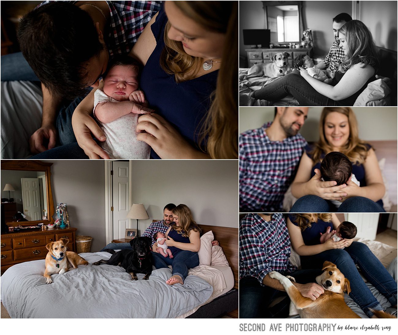 Lifestyle newborn session with new parents with their two fur-babies and sweet new baby girl, captured by Fairfax County newborn photographer.
