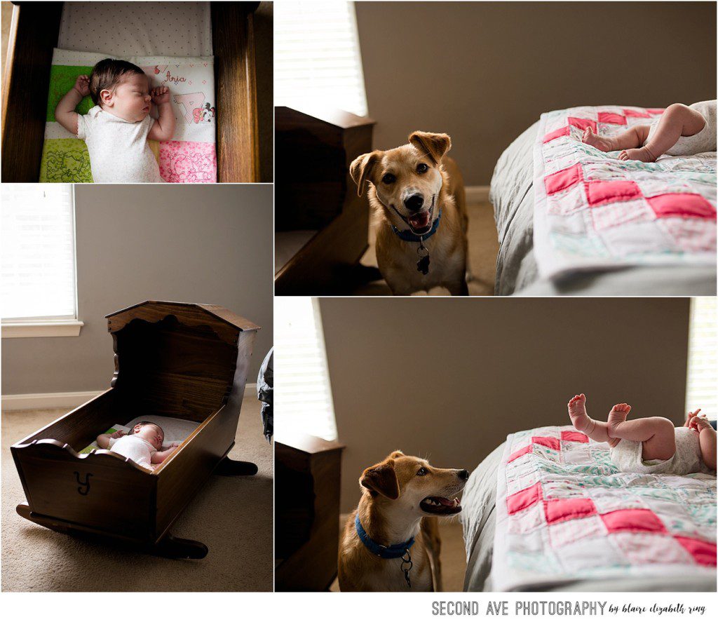 Lifestyle newborn session with new parents with their two fur-babies and sweet new baby girl, captured by Fairfax County newborn photographer.