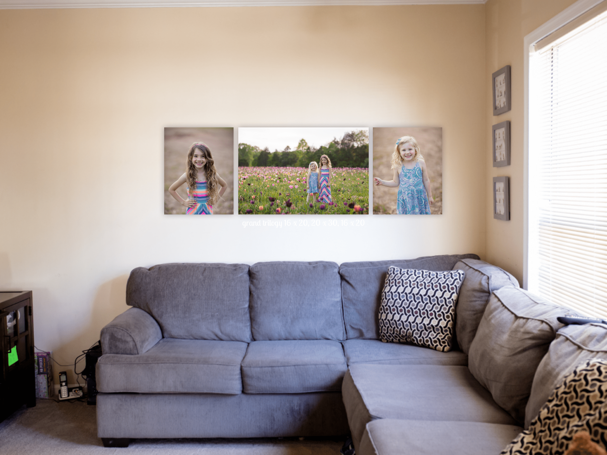 Have you ever had gorgeous pictures taken, and then thought...now what? Introducing wall design consultations in Northern Virginia.