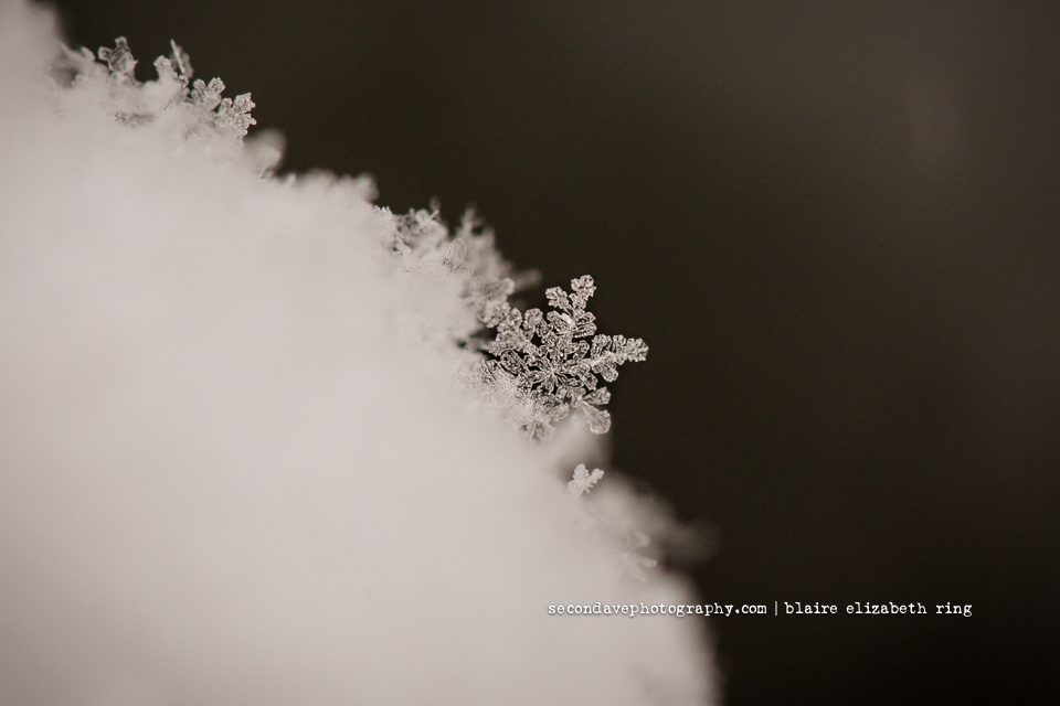 My absolute favorite winter past time is taking macro photos of snowflakes. I was excited for our first snow in Leesburg Virginia this year!
