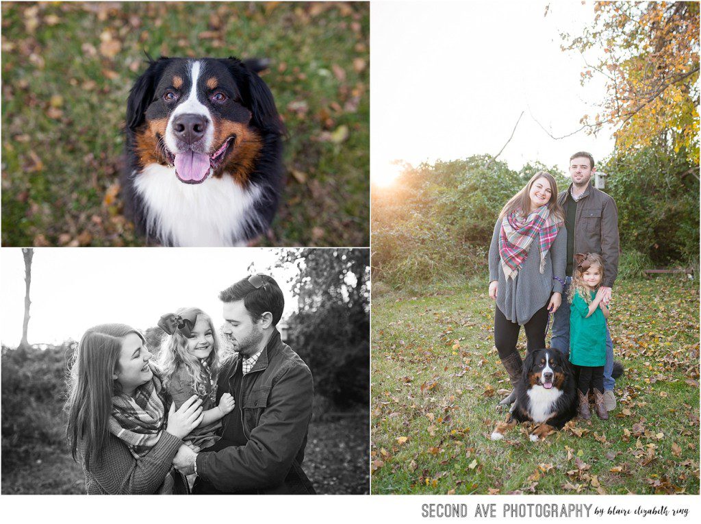 Fellow March of Dimes family with their Bernese Mountain Dog, photographed by DC family photographer at a beautiful natural location just before sunset.
