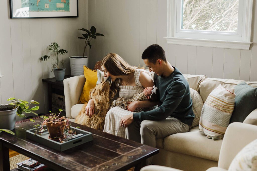 washington-dc-newborn-photo-dog-parents