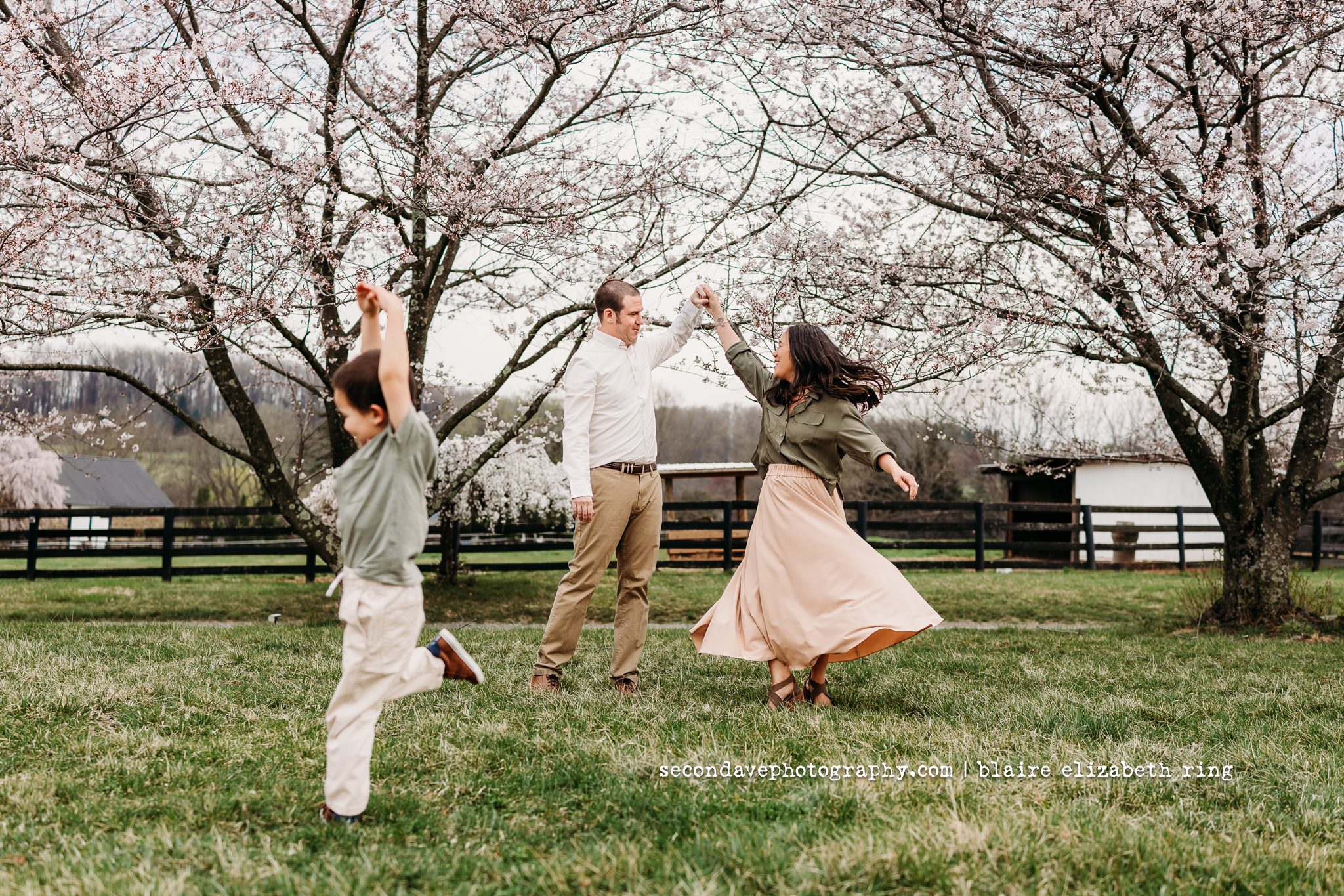 family of 3 dancing under blooming cherry blossom trees in Loudoun County.
