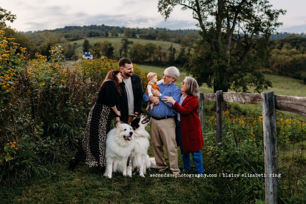 Extended family photos with parents, grandparents, and baby with 2 dogs at Sky Meadows State Park in Virginia.